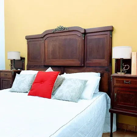 דירה Oasi Urbana Con Terrazza E Vista
