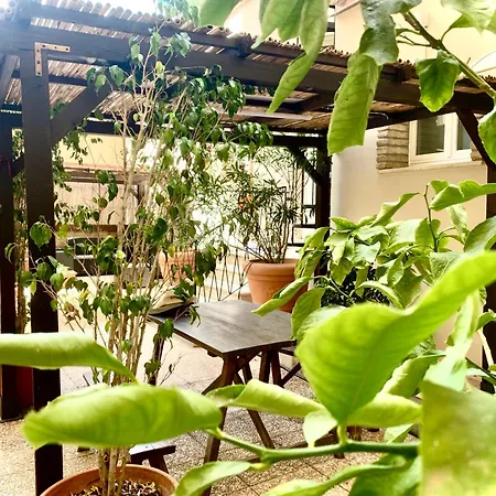 Oasi Urbana Con Terrazza E Vista Appartamento